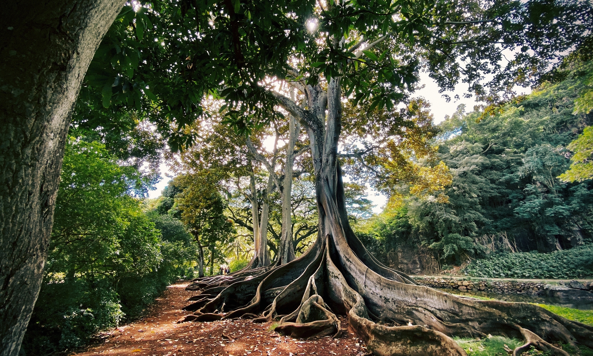 Vastupidavus: rohkem kui ellujäämine